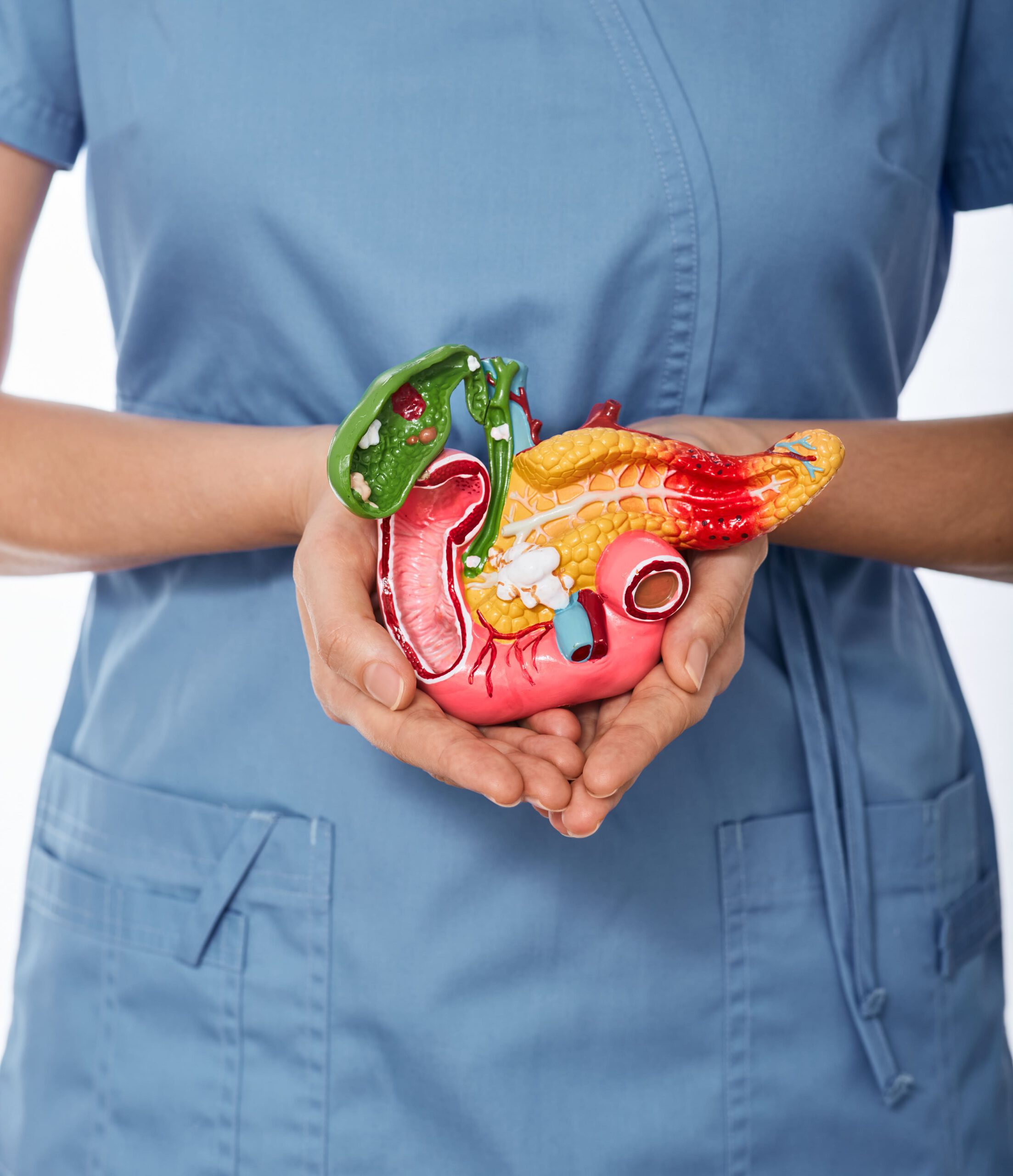 Gastroenterologie-stelle